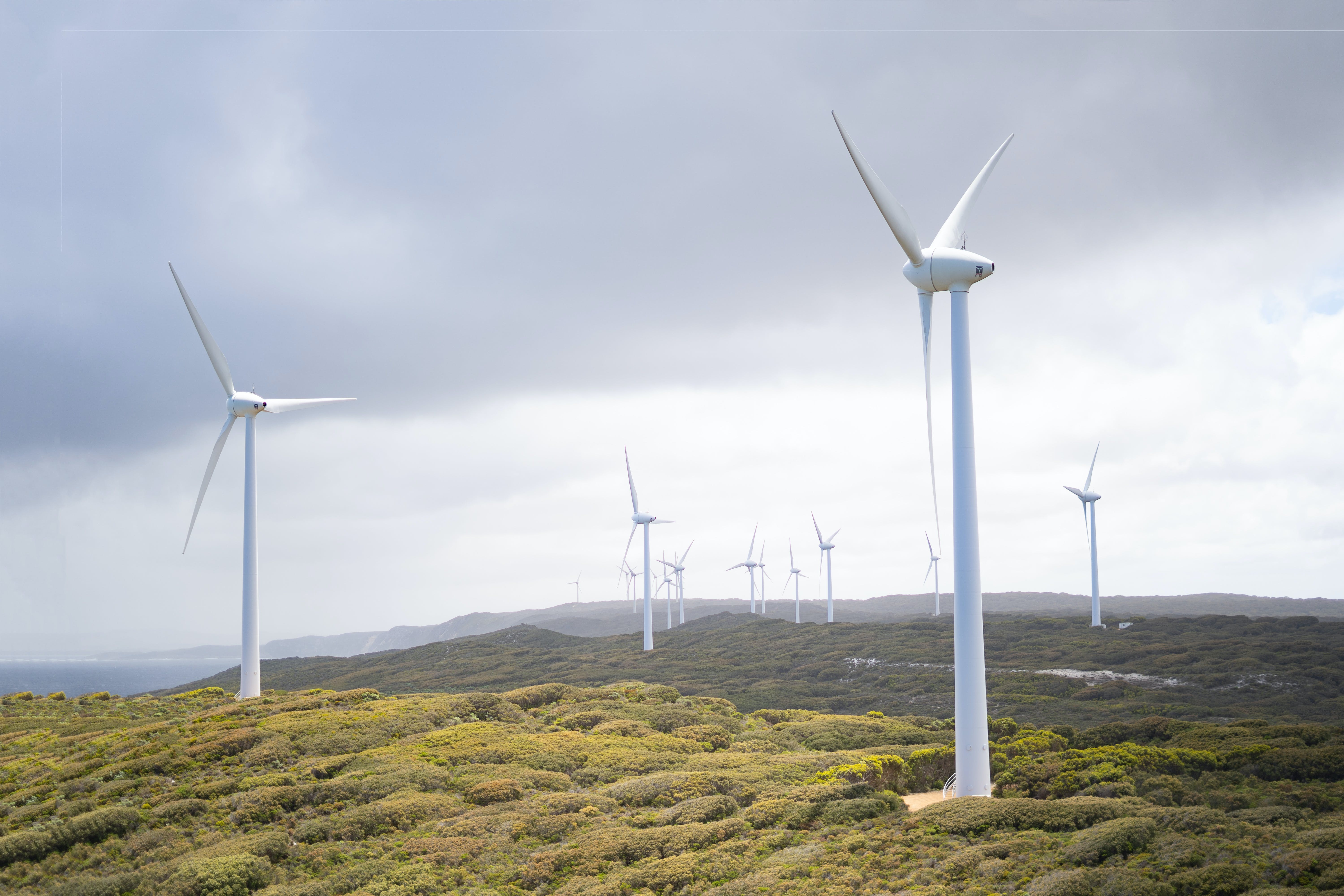 Blue blood AI Completes Sale of Japan Wind Development to INFRONEER